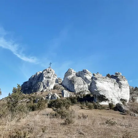 Kameralne W Centrum Czestochowy Appartement