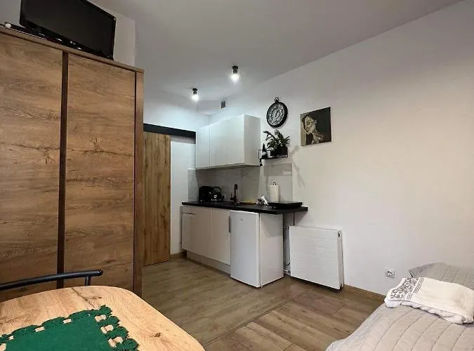 Kameralne W Centrum Czestochowy * צ'סטוצ'ובה