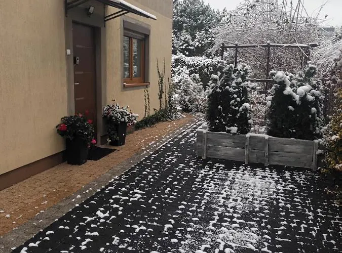 דירה Kameralne W Centrum Czestochowy צ'סטוצ'ובה