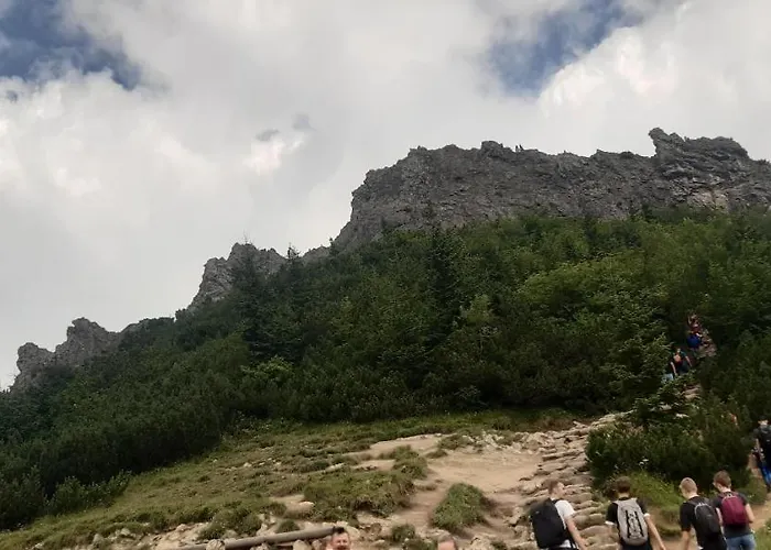 Apartment Kameralne W Centrum Czestochowy Czestochowa